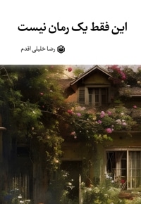 این فقط یک رمان نیست